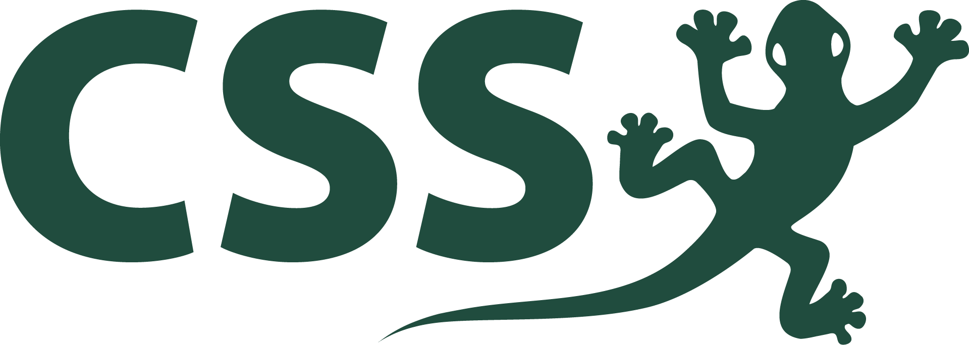 CSS AG